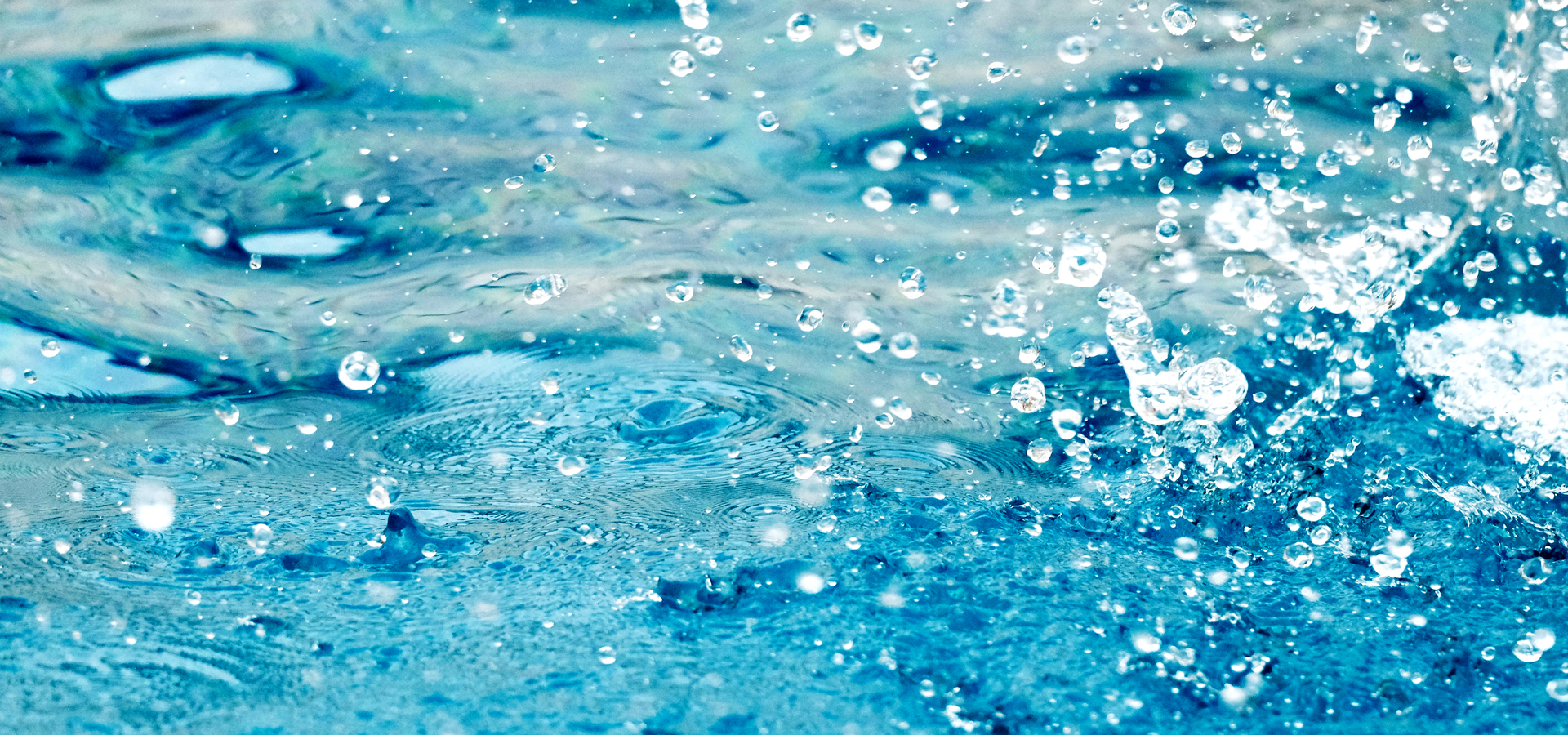 SWPN_header03